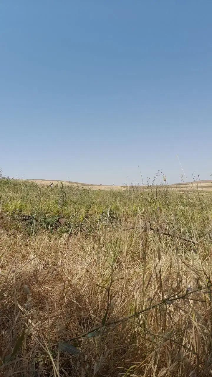 ۳۵۰هزارمتر زمین روستایی نزدیک زنجان فروشی