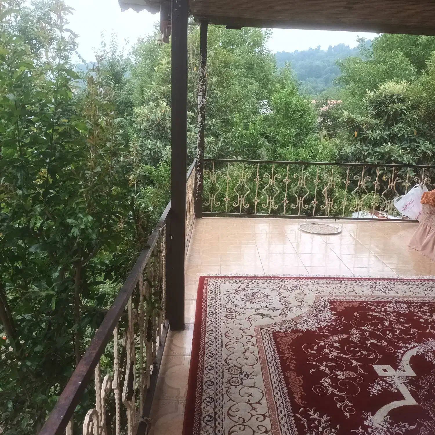 ملک  زمین