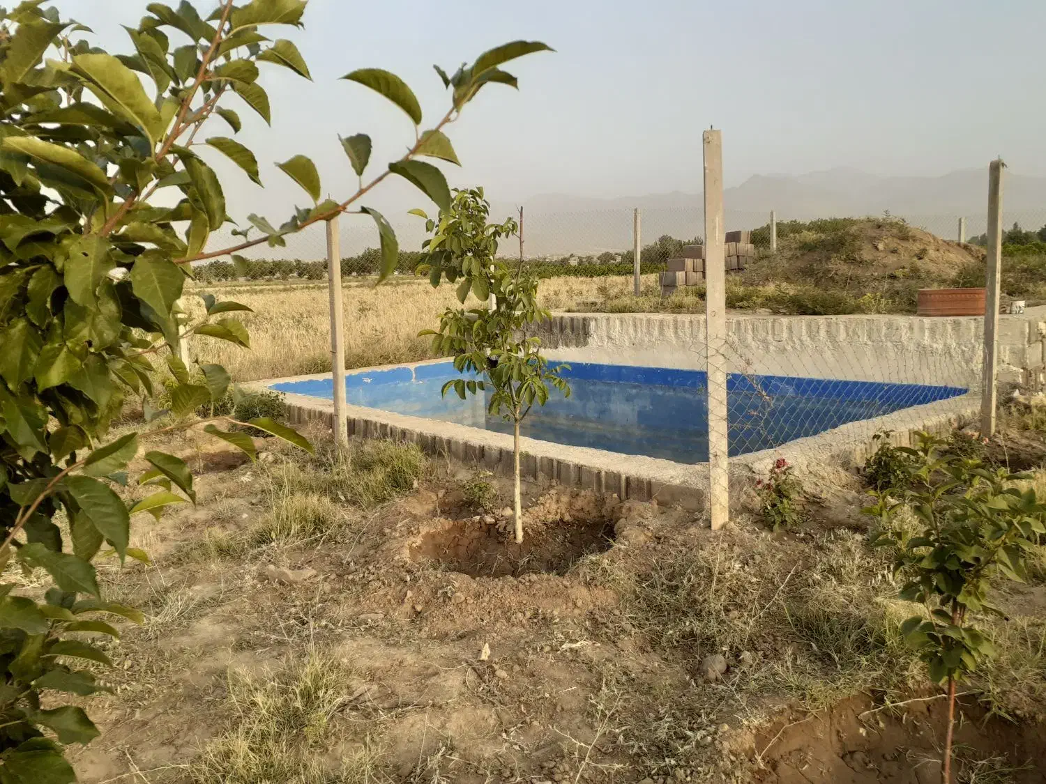 باغ در سیمین