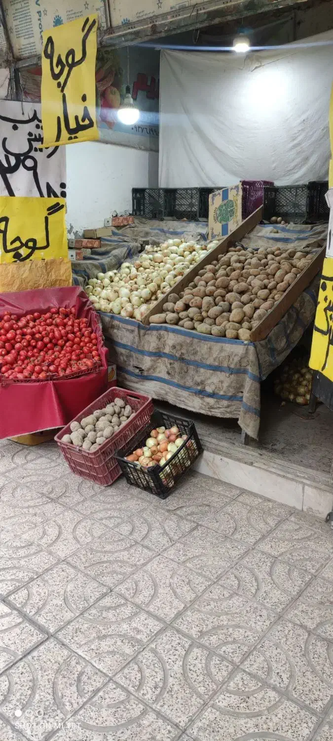 واگذاری میوه فروشی