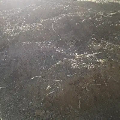 ۱۰۰متر زمین دوبر شازند کلاوه