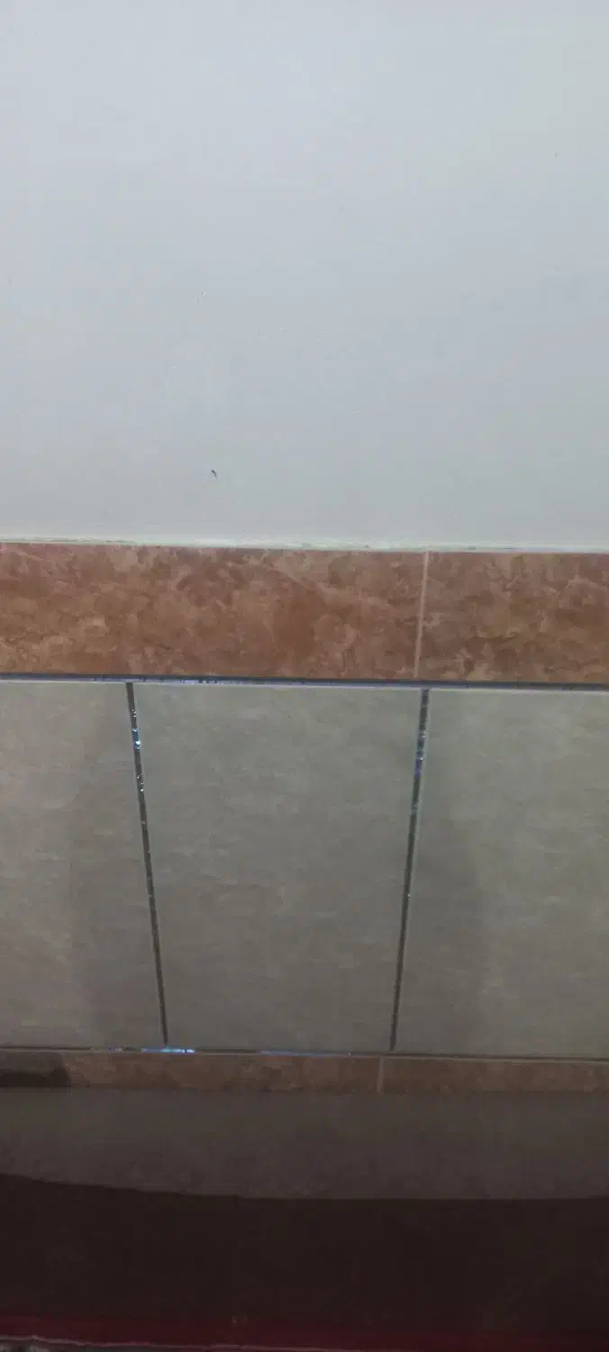 اتاق اجاره ای