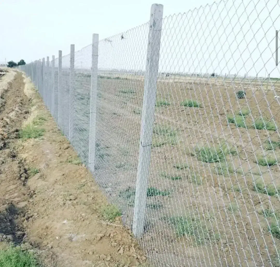 باغ بادام تنو،1500متری ،الوند ، دارای سهمیه آب