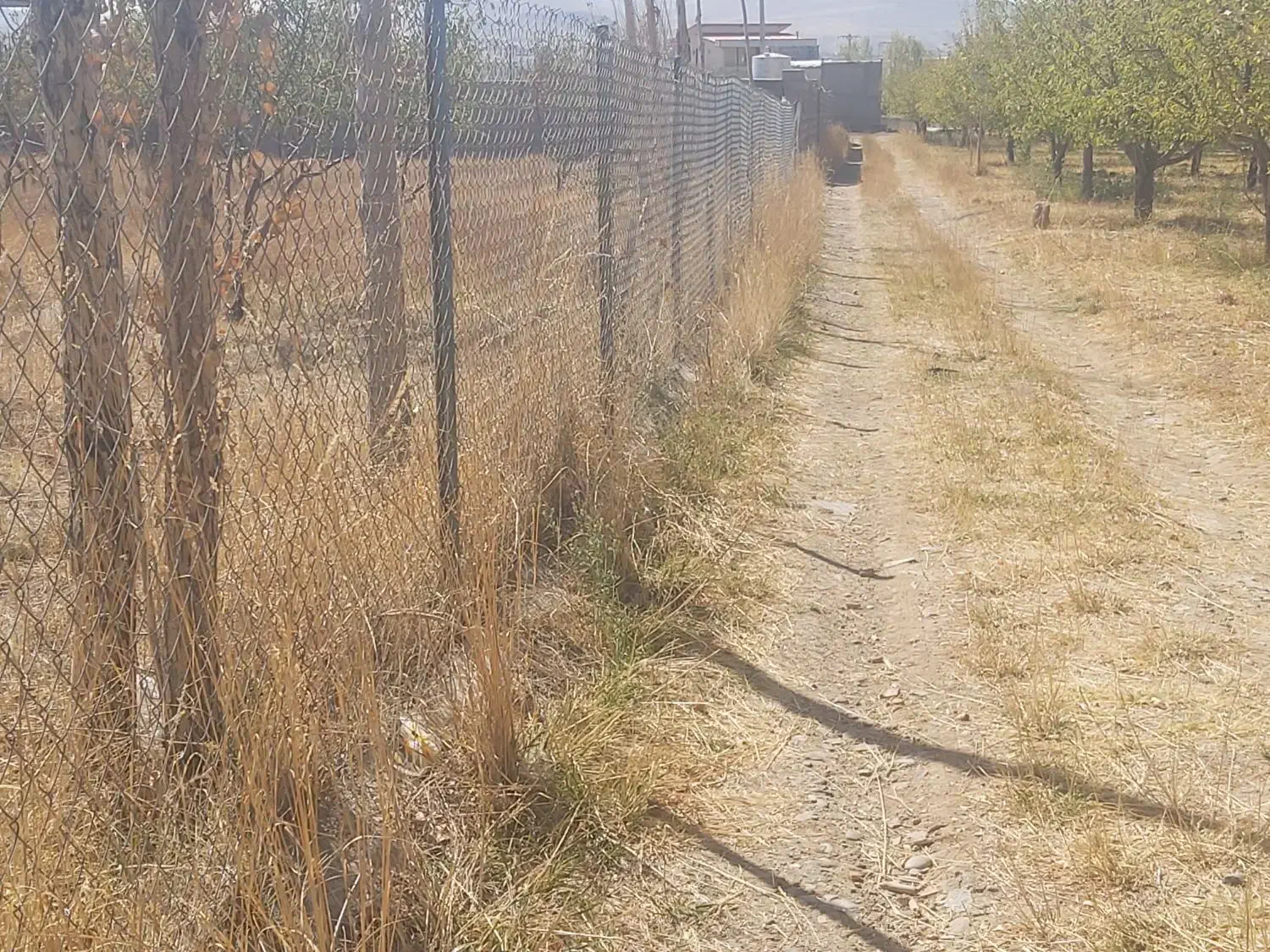 باغ روبروی پردیسان اسپیران با برق