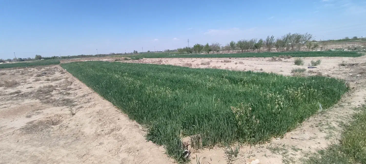 زمین کشاورزی خوش جا