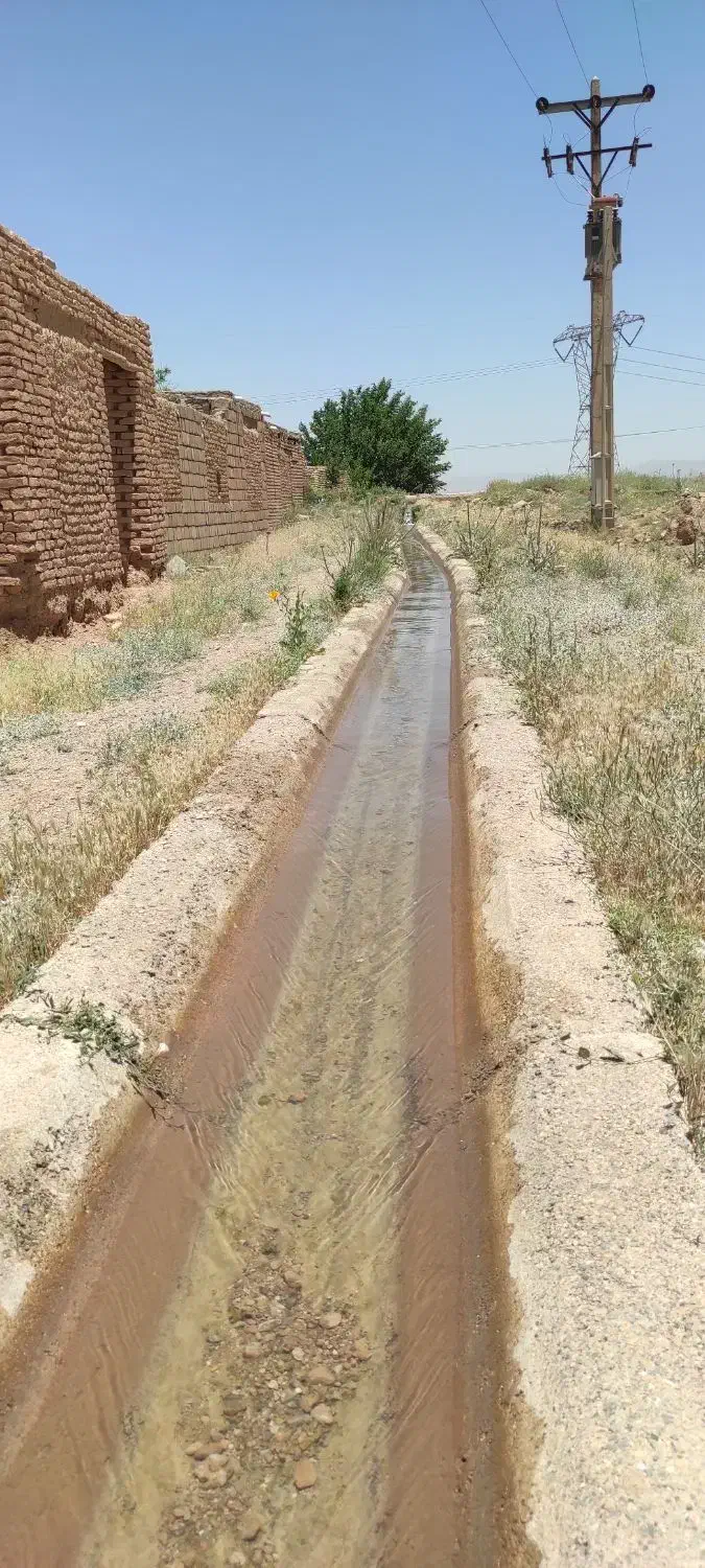 زمین کشاورزی با آب شیرین همراه با سند