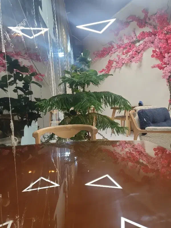 هم خانه. همخونه
