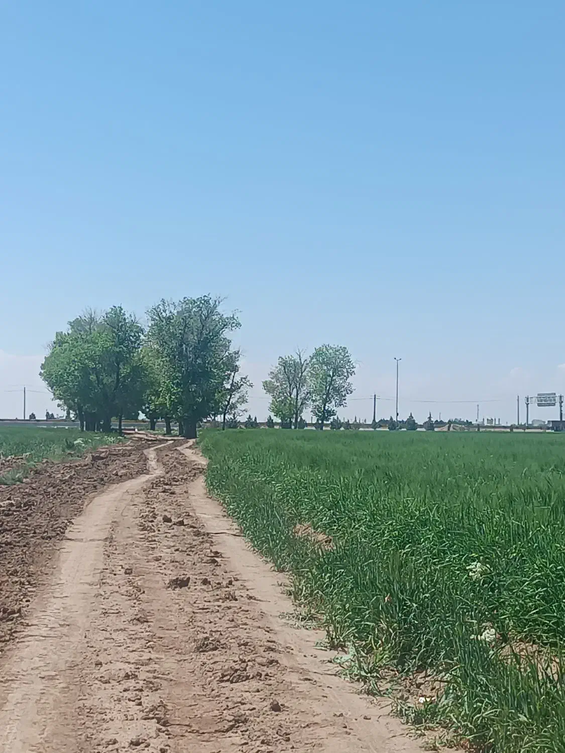 ۶۴هکتار زمین کشاورزی ۴ اینچ آب  ساوه