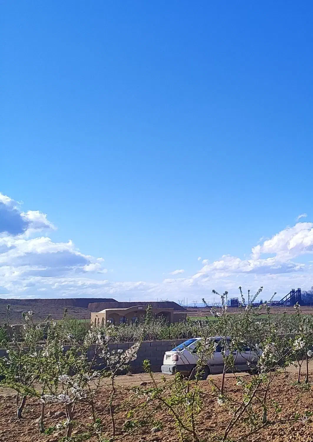 زمین کشاورزی