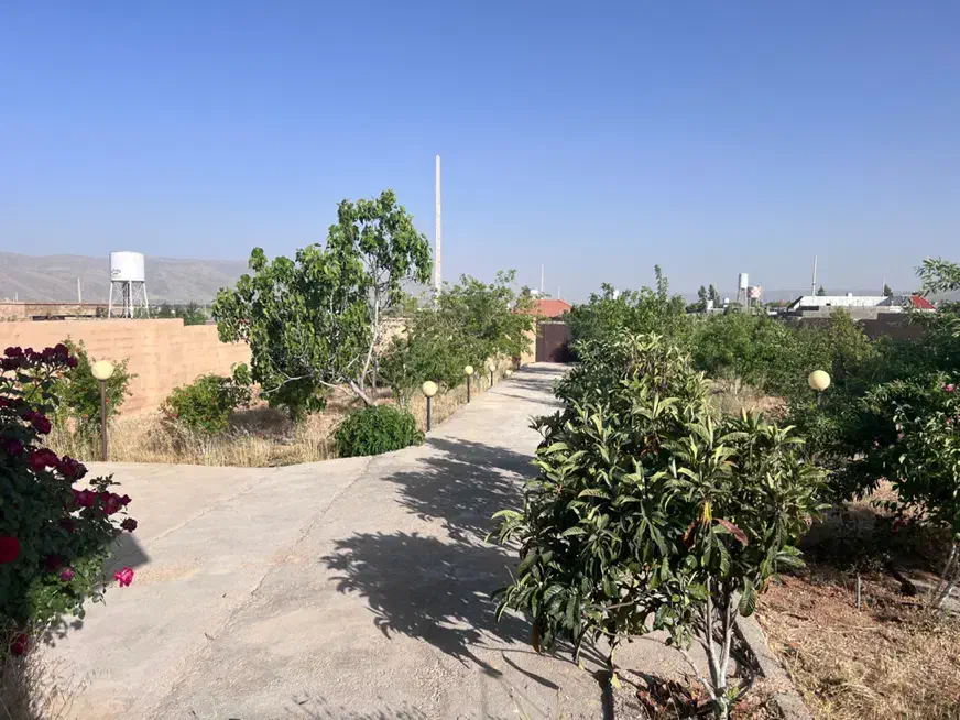زمین ۲۵۰متری شهرک صفا کنگان