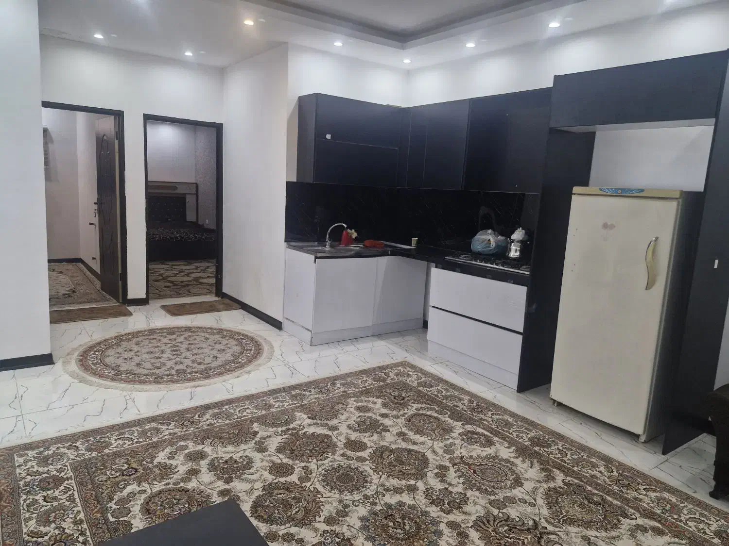 اپارتمان ۴۷متری  دو واحدی با اسانسور نقاشی شده