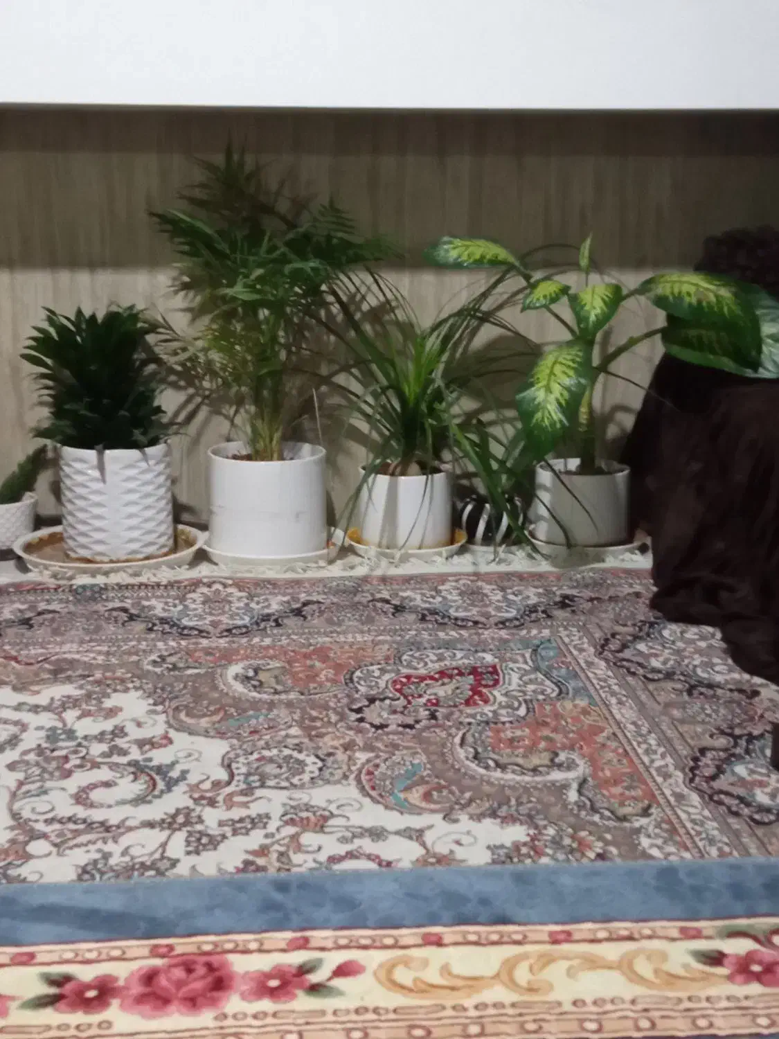 یک خوابه مستقل ماشین رو ۲۷۰با۶ملیون
