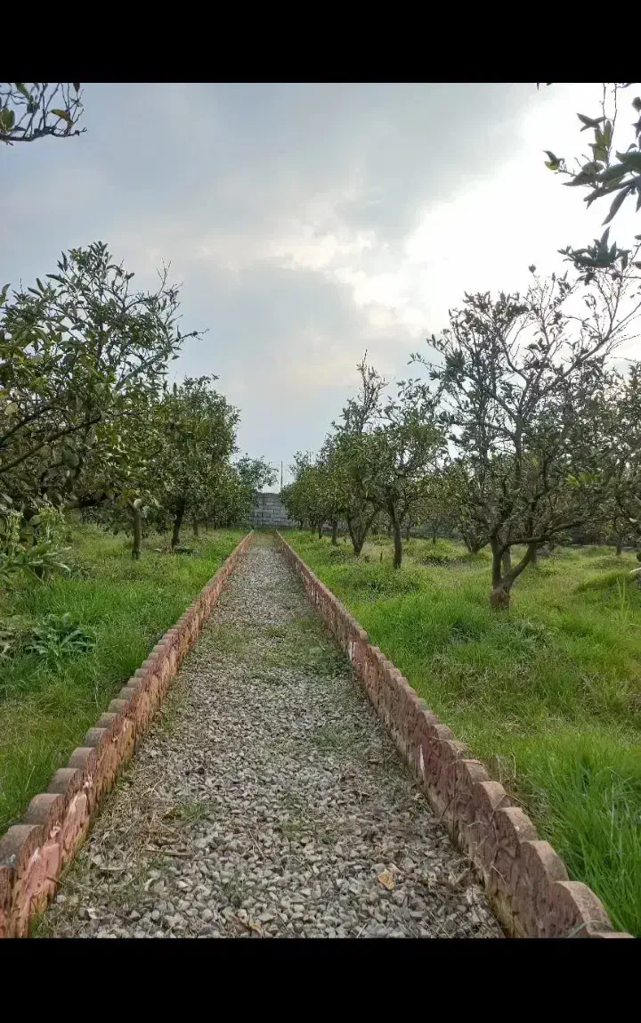 زمین با ساخت کلبه _منطقه عالی_ لوکیشن بکر