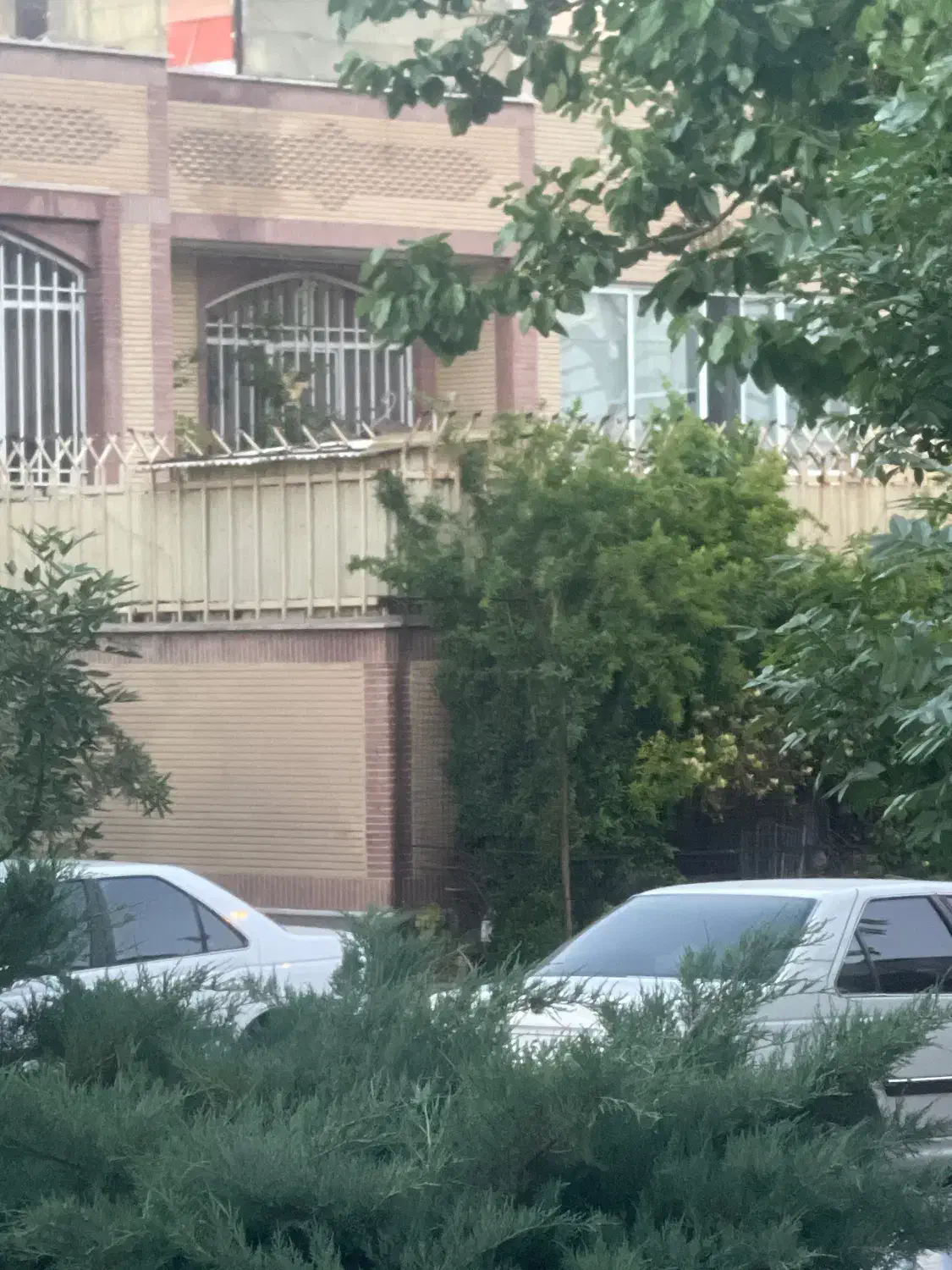 ویلایی سی۵