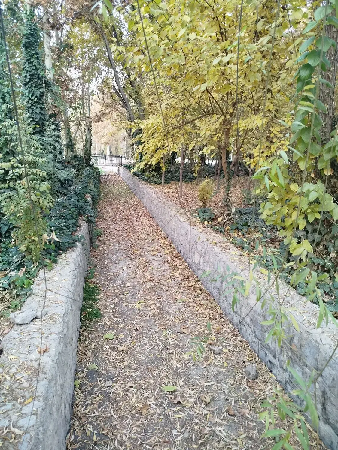 زمین 150 متری