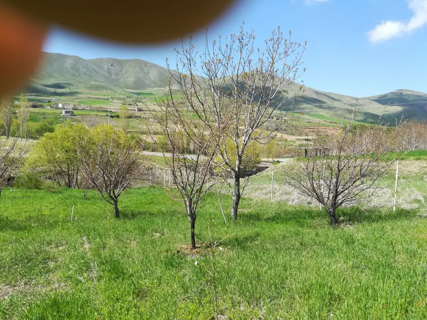 فروش زمین جهت احداث باغ در روستای باتمان