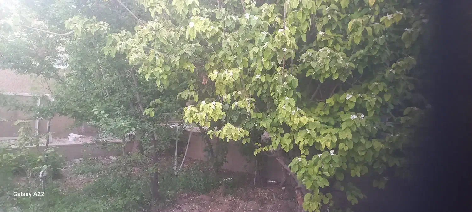 خانه روستایی دشت خاک