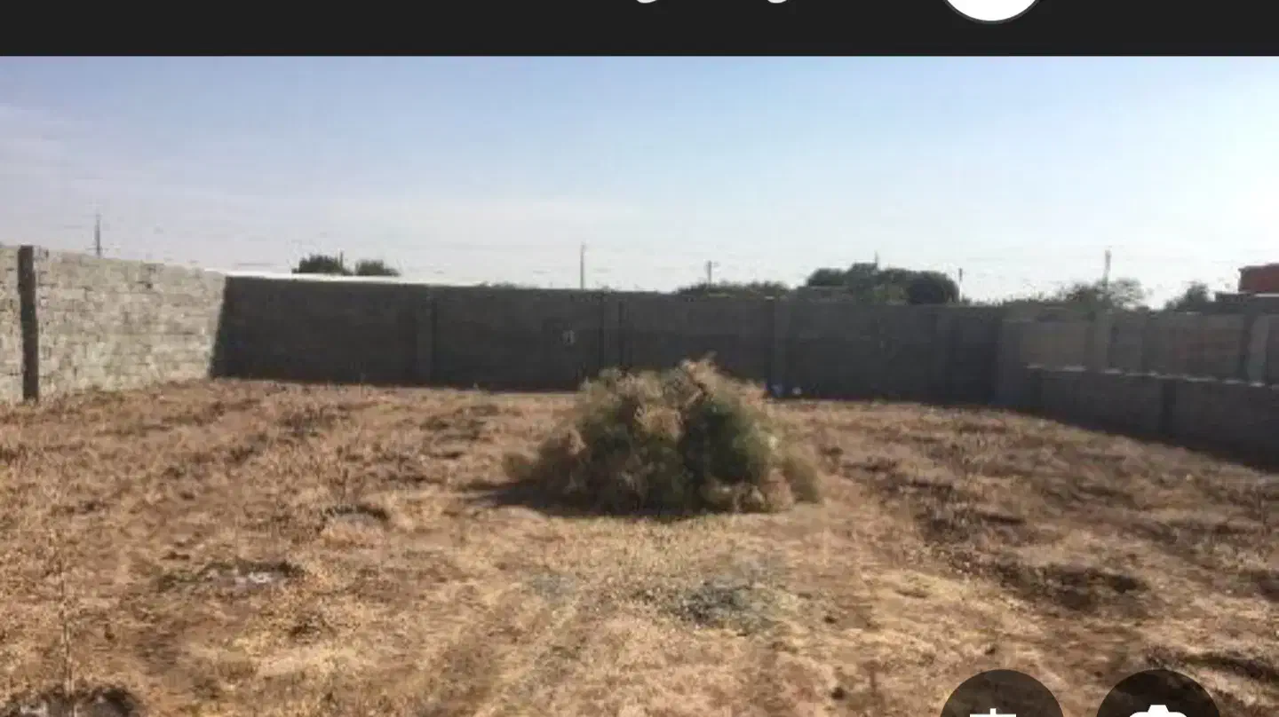 اجاره ی زمین ۲۵۰۰ متری برای کاشت گوجه و خیار کدو