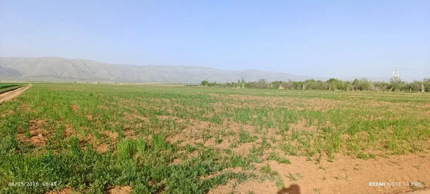 زمین کشاورزی