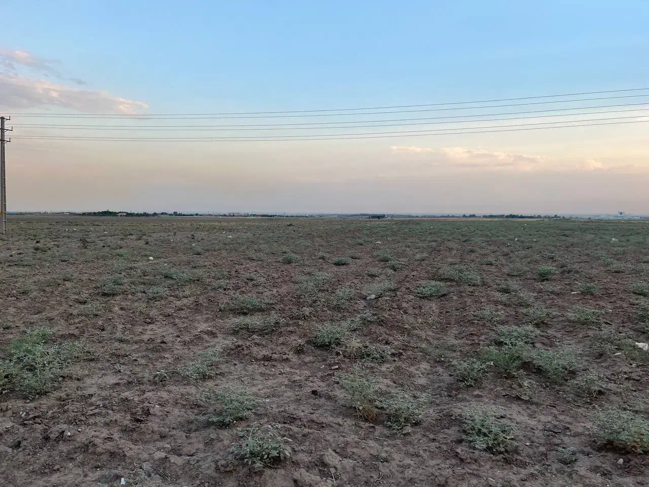 زمین متراژ بالا زراعی سند تک برگ