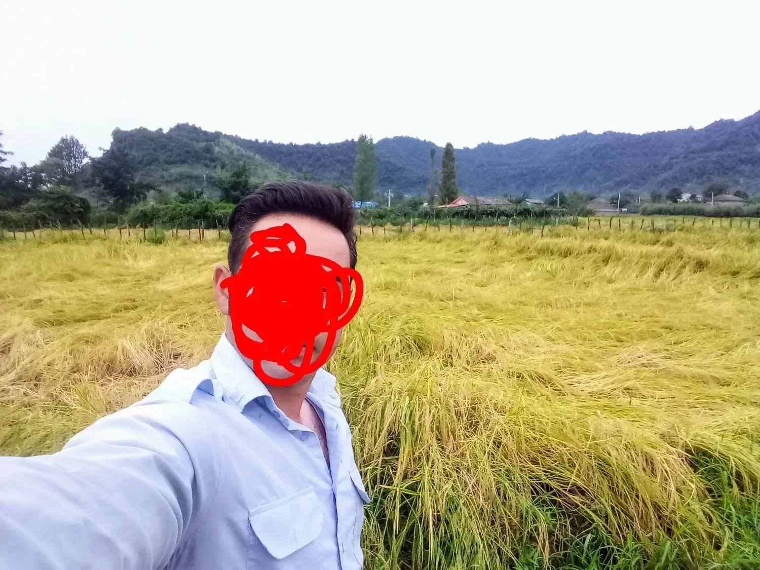 فروش زمین زراعی در خطبسرای تالش