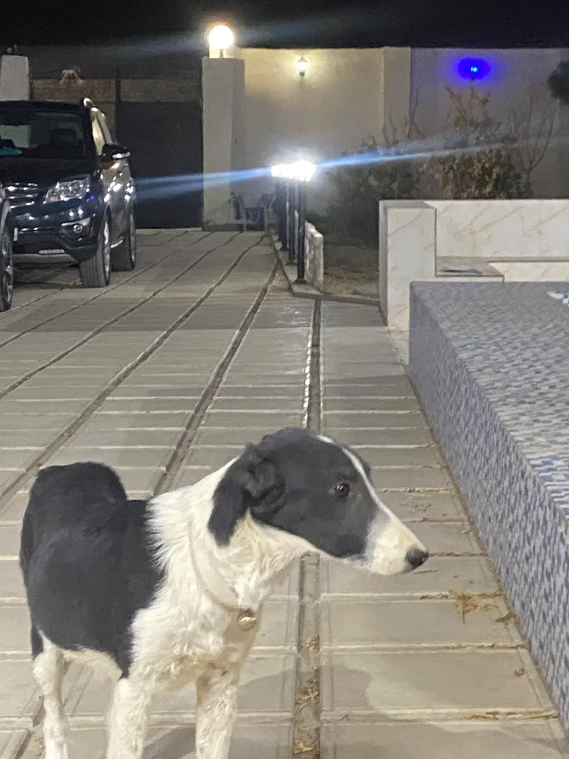 باغ در ورامین