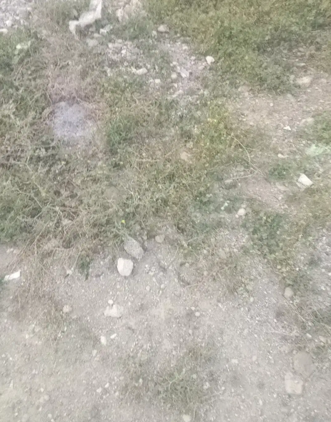 زمین مسکن ملی پشت تپه شنی