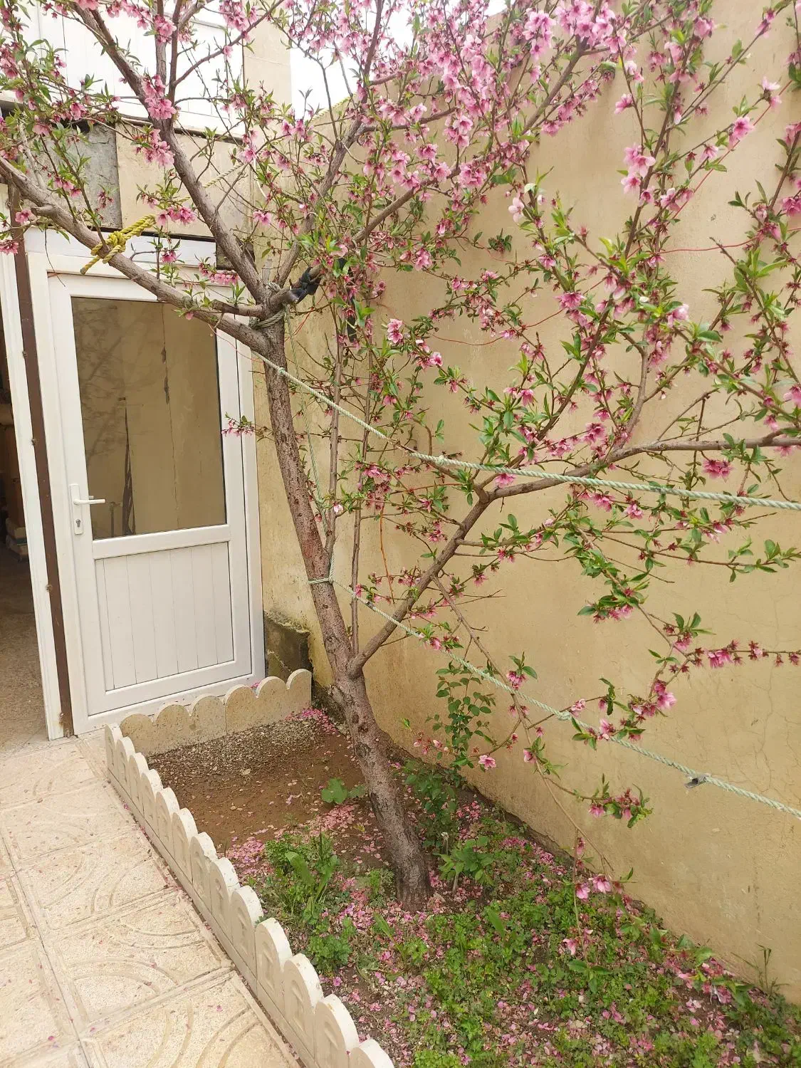 فروش آپارتمان ویلایی ، طبقه اول