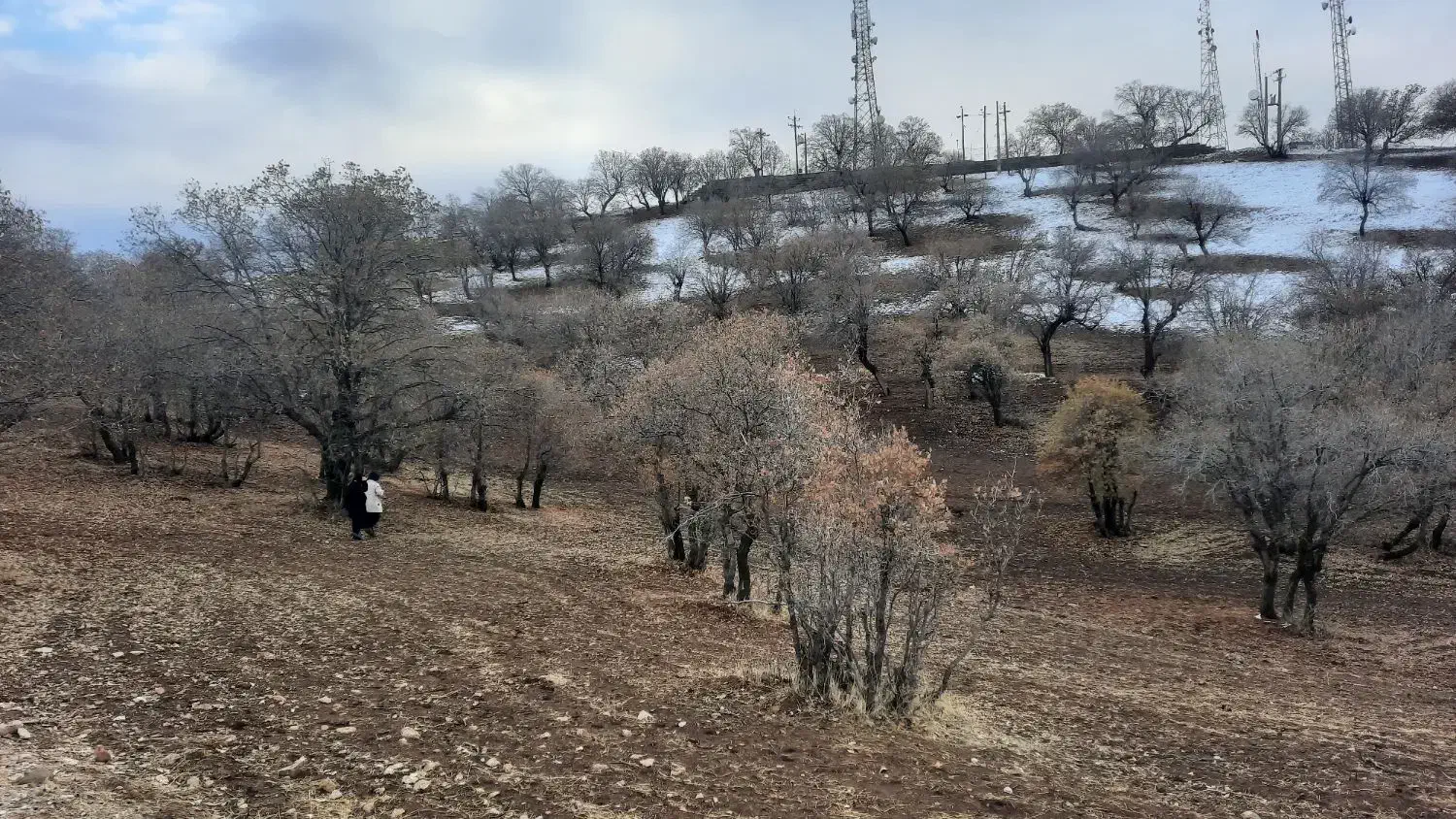 زمین مسکونی کلدوزخ 1