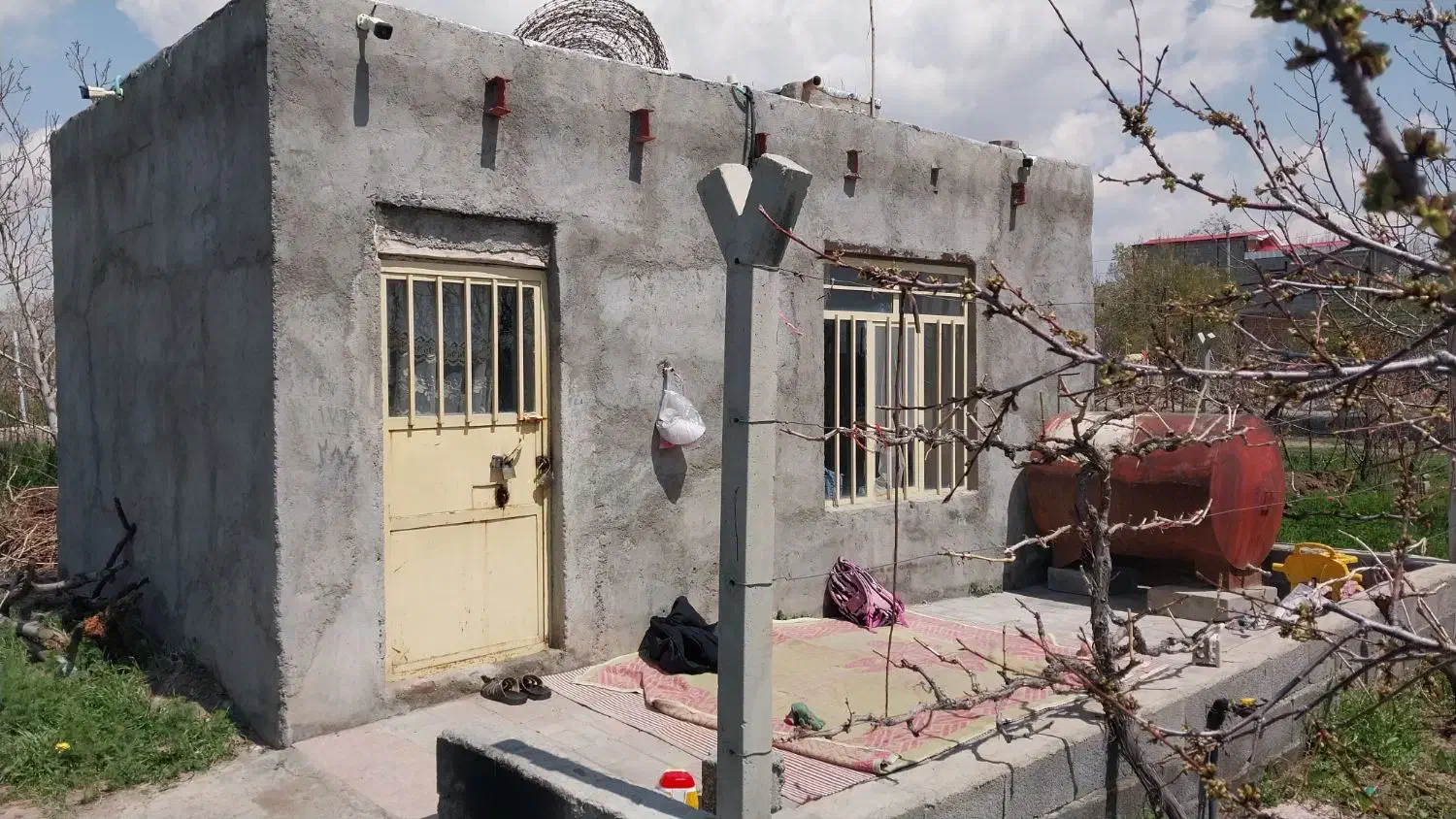 باغ انگور روسیمی وسردرختی