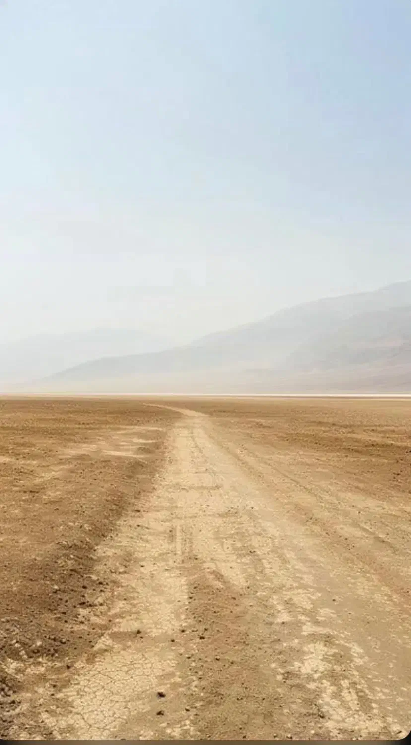 زمین