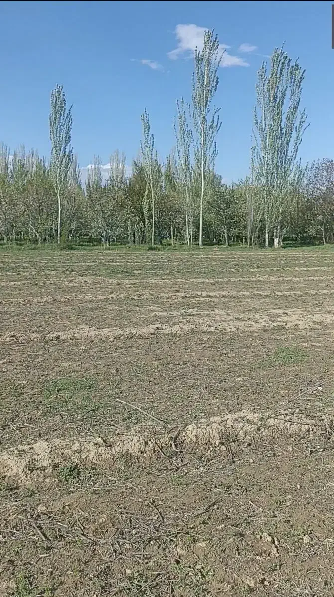 زمین در روستای اولق