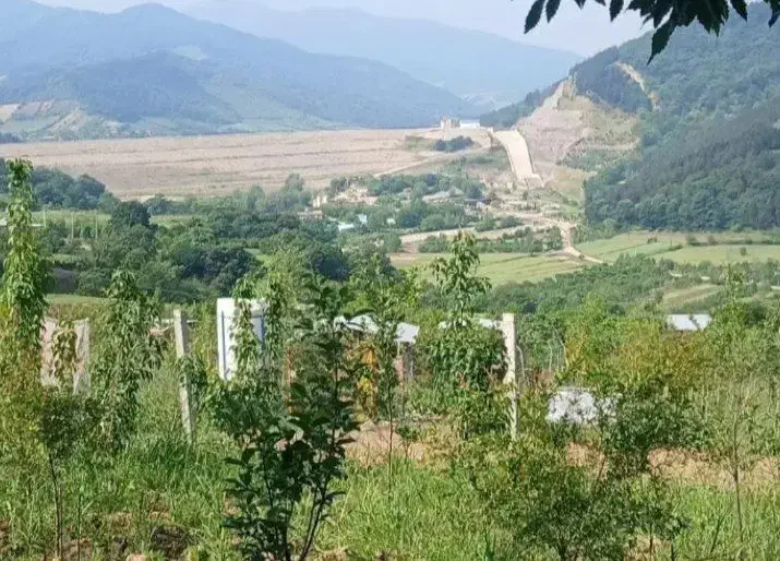 زمین آرام نرو ۲۰۰ متر با بر ۱۰ خوش قواره