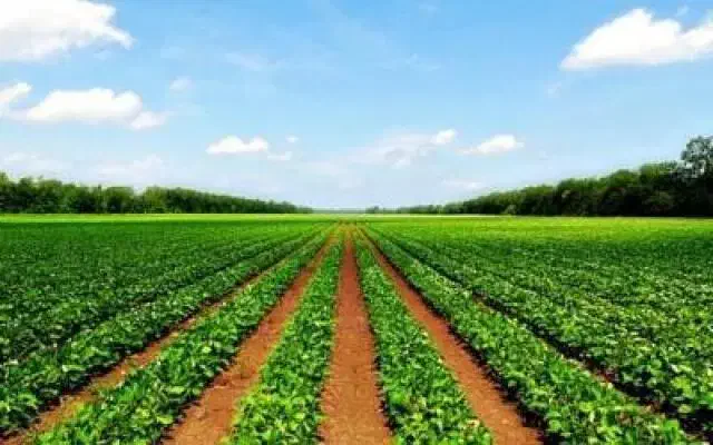 زمین کشاورزی به همراه آب چاه عمیق