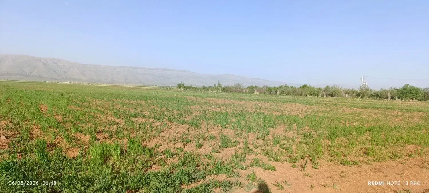 زمین کشاورزی