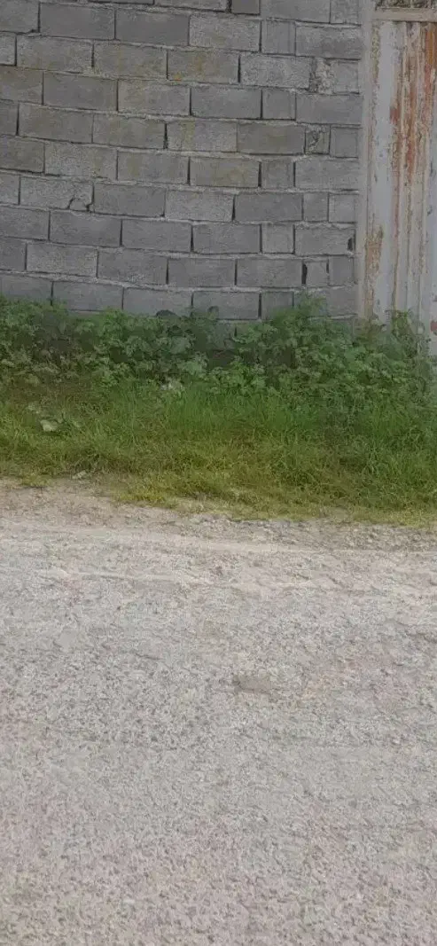 زمین مسکونی