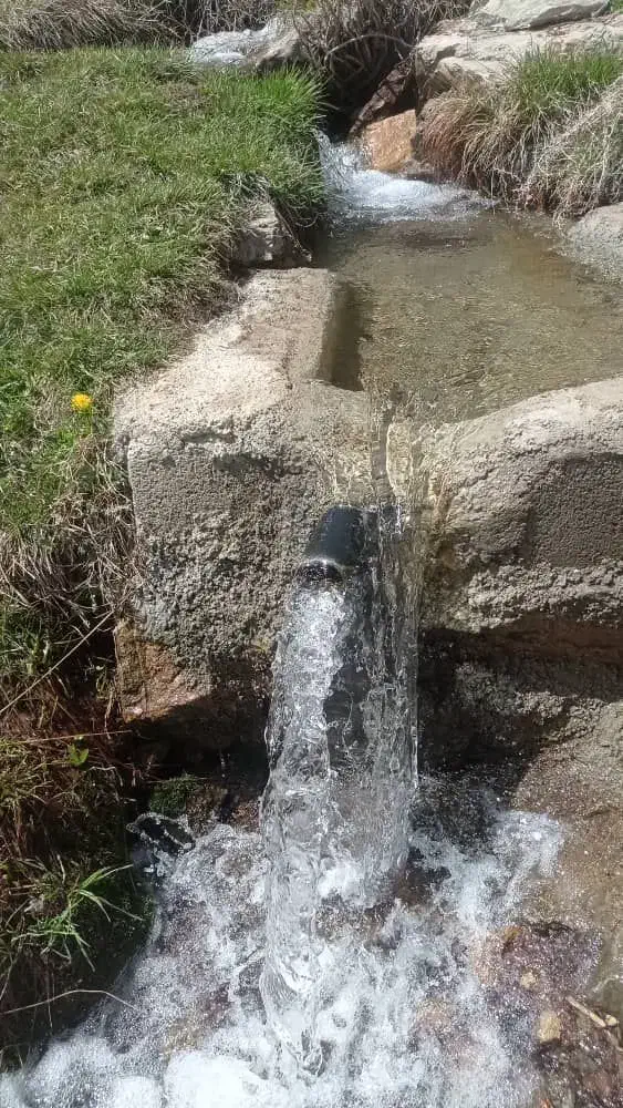 باغ و ویلا