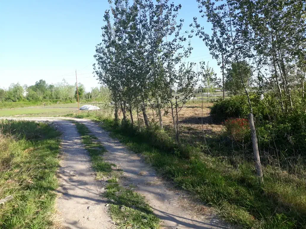 زمین روستایی ۱۴۲۰ متری سنددار روبه روی هتل دریا