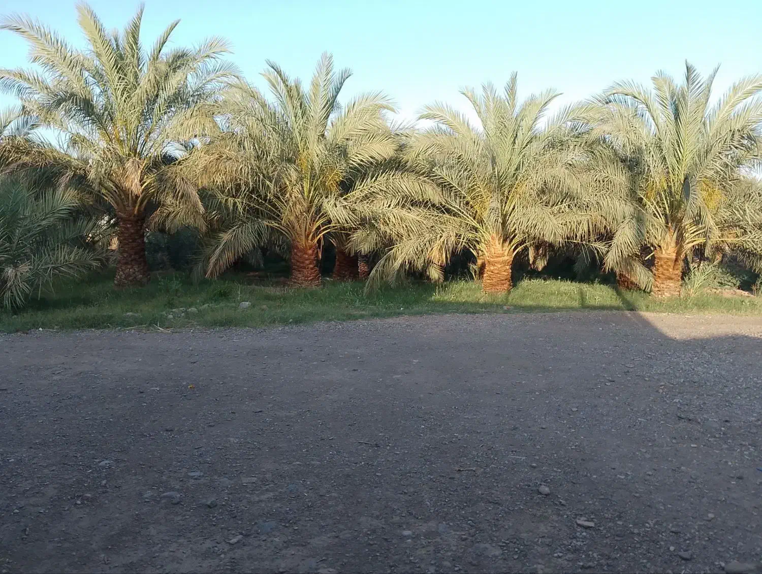 فروش خانه باغ ،نرماشیر،عزیزابادپایین