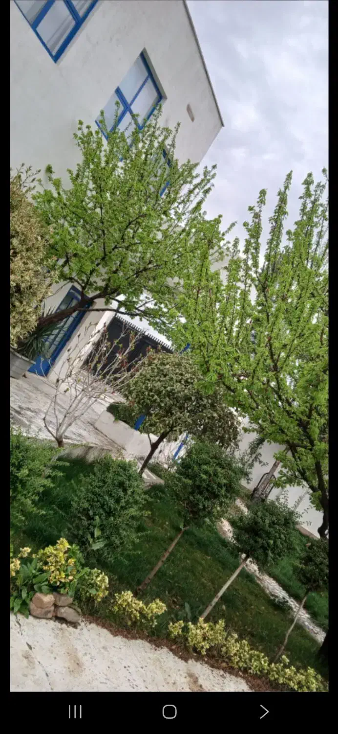 اجاره روزانه هفتگی 500