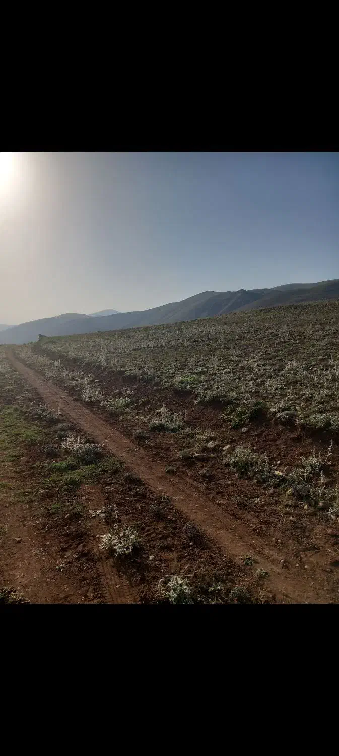 ۱۵۰۰ متر زمین در کجور،کوهپر