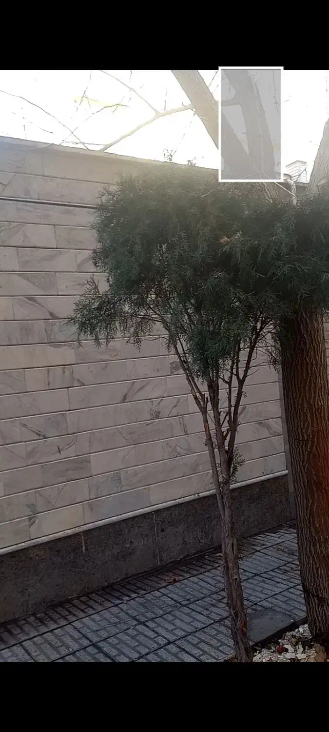 فروش