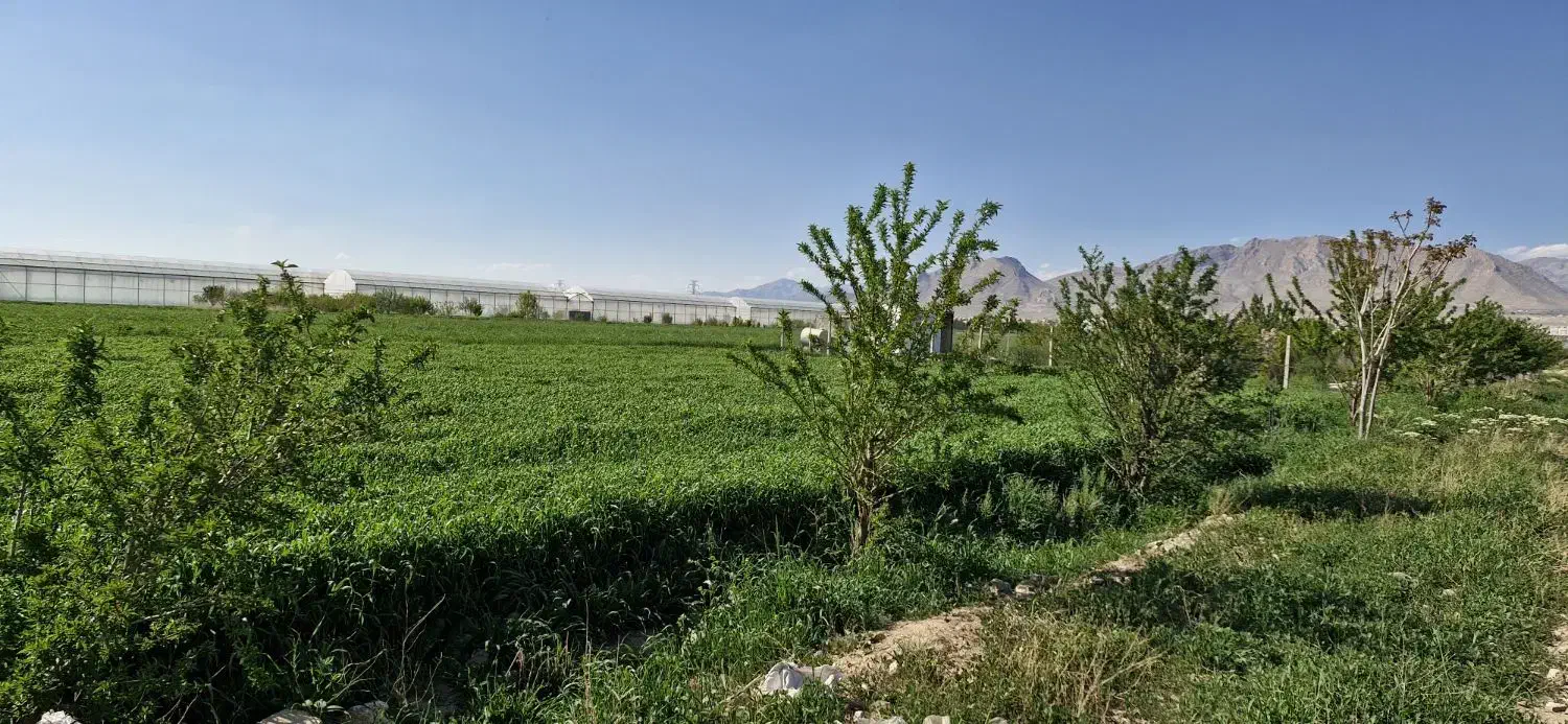 زمین