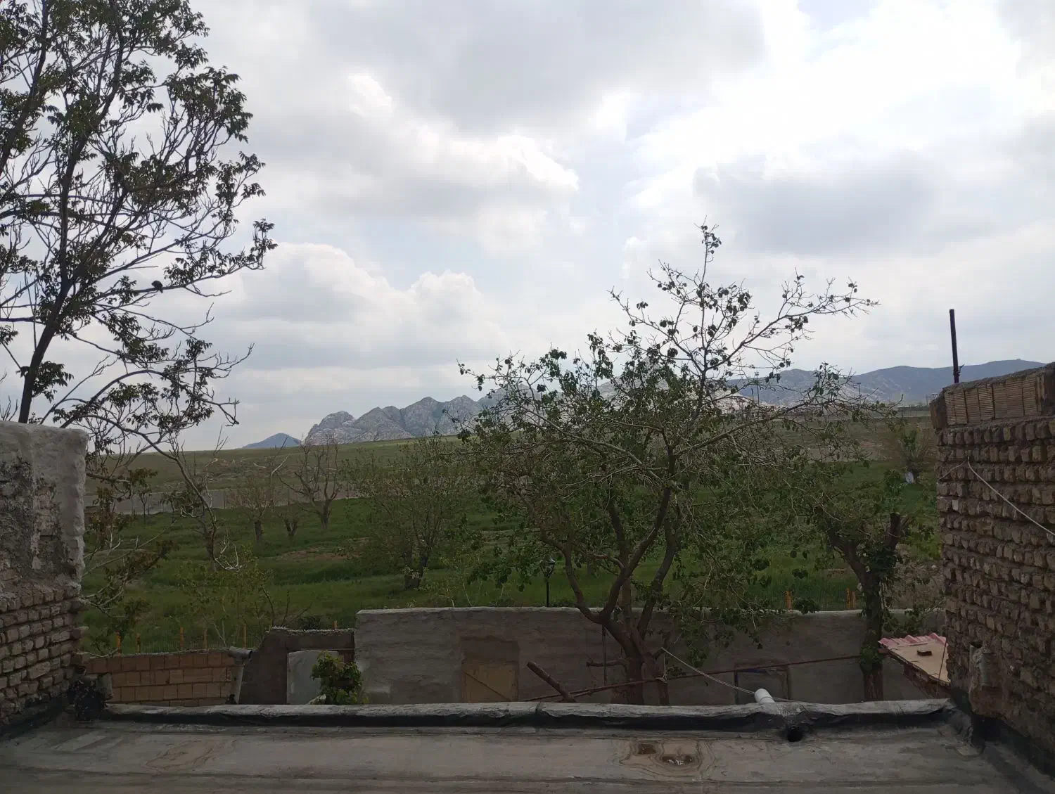مغازه تجاری