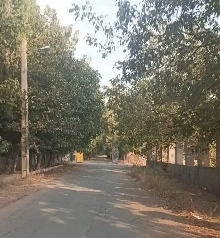 باغچه