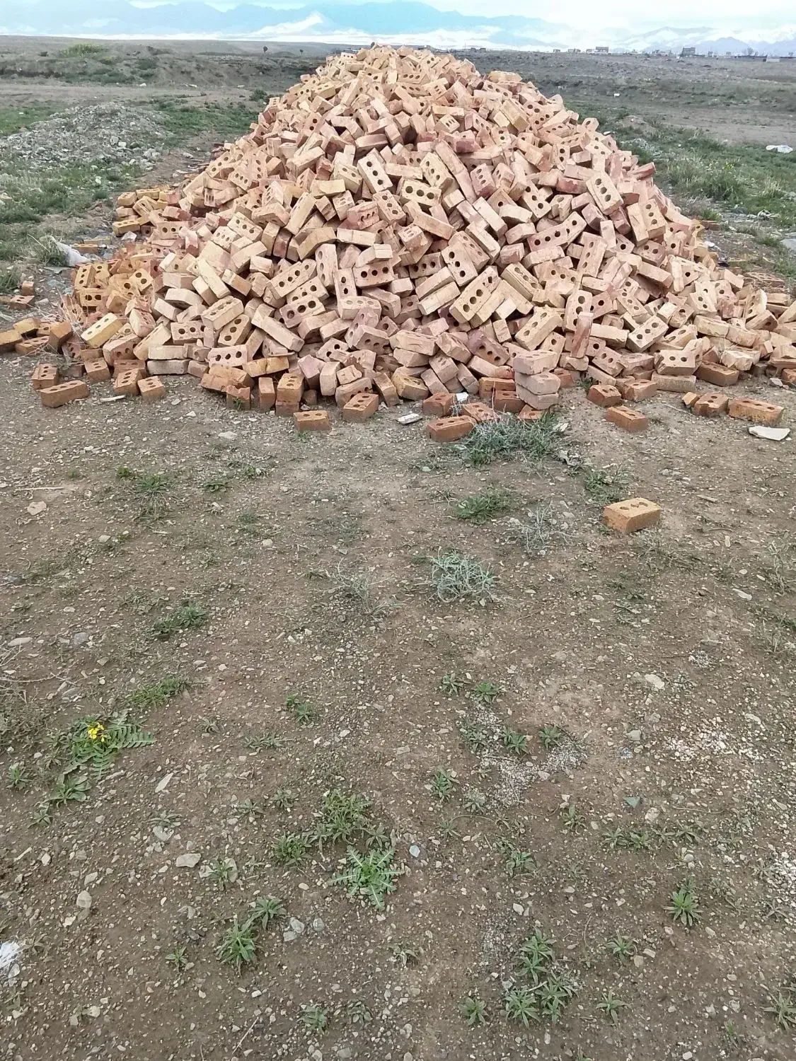 زمین فروشی در ورزش۱۴