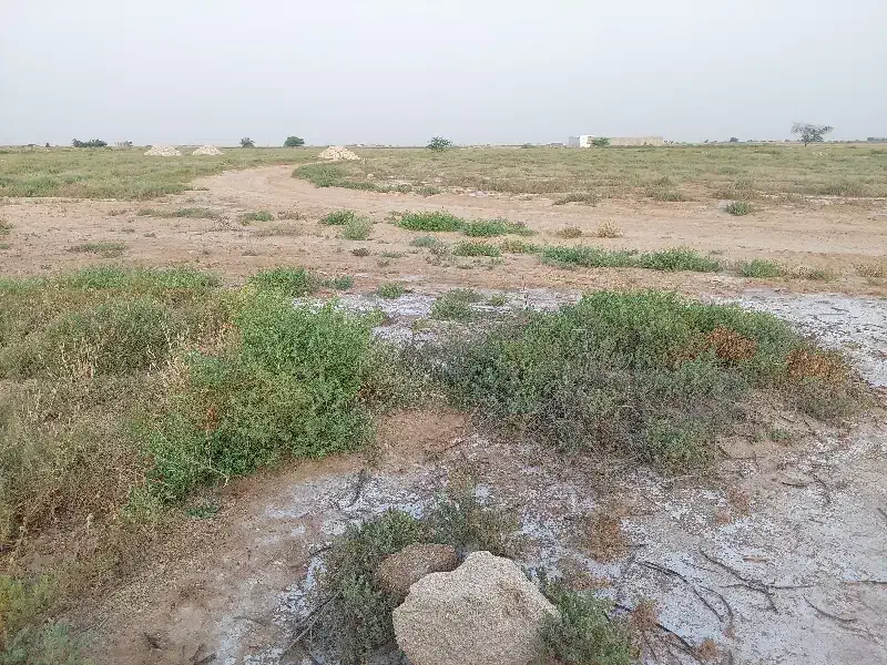 فروش زمیین