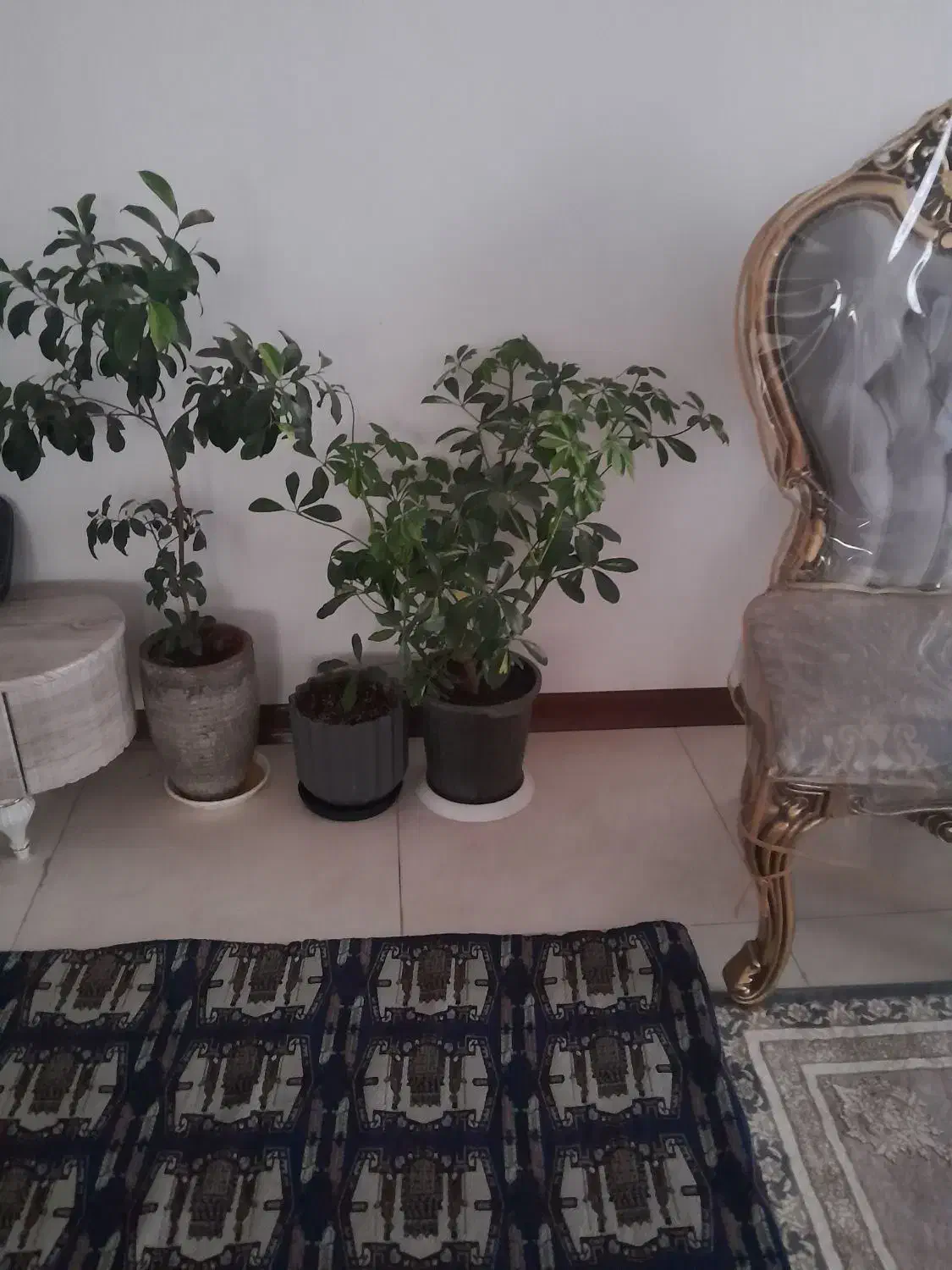 یک خانه دوطبقه