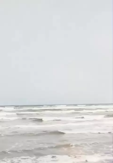 شهسوارپلاک یک
