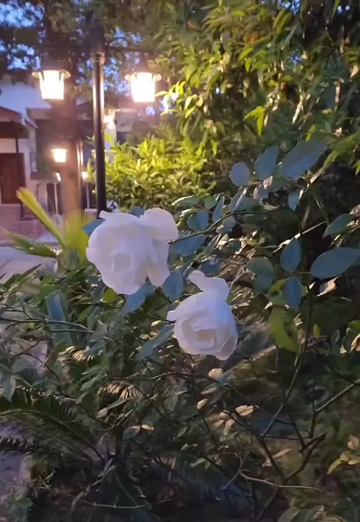 باغ ویلا دوبلکس ساحلی